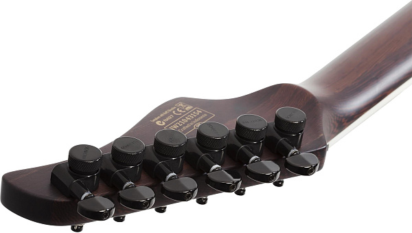 Электрогитара SCHECTER [REAPER-6 CUSTOM G.BLK] электрогитара 6-струнная, корпус: красное дерево, гриф: венге, накладка: черное дерево, 24 лада, цвет: Gloss Black