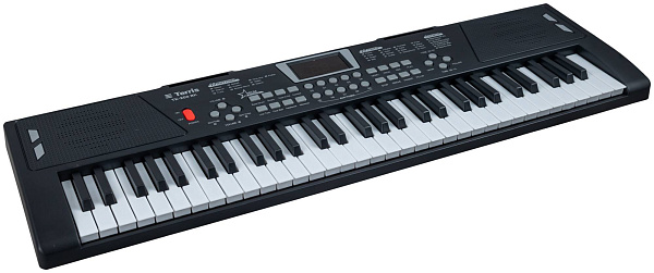 TERRIS TK-200 BK - Синтезатор
