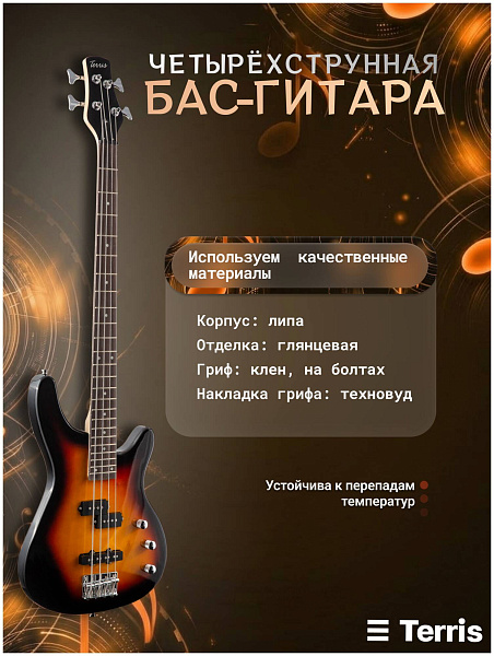 TERRIS SET-SSS SB - Бас-гитара 4 струны