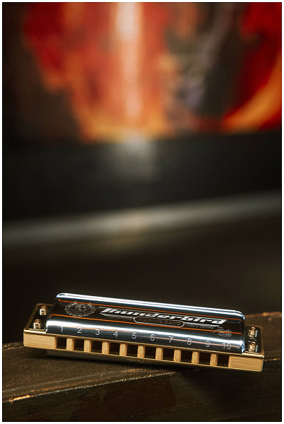 HOHNER Marine Band Thunderbird D-major, low octave - Губная гармоника диатоническая
