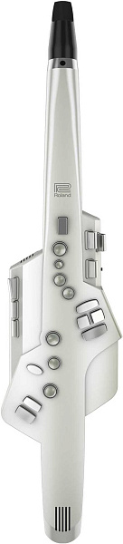 ROLAND AE-10+OP-AE10MP электронный саксофон(компл.)