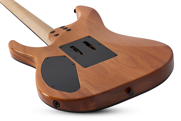 Электрогитара SCHECTER [C-6 FR PRO ARB]  6-струнная, корпус: касное дерево, топ: кап, гриф: клен, накладка: венге, 24 лада, FloydRose, цвет: Aurora Burst (ARB)