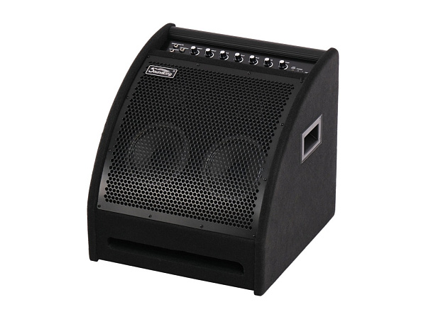 DS200 Монитор для электронной ударной установки, 200Вт, Soundking