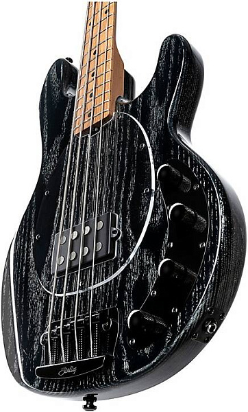 STERLING StingRay Black with White Stain - Бас-гитара 4 струны